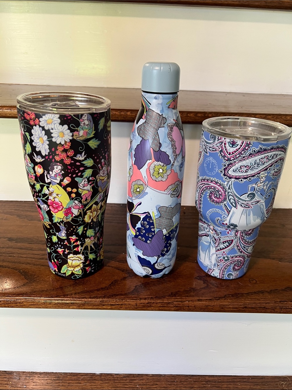 Vera Bradley Insulated Water Bottles-3. 1-Disney